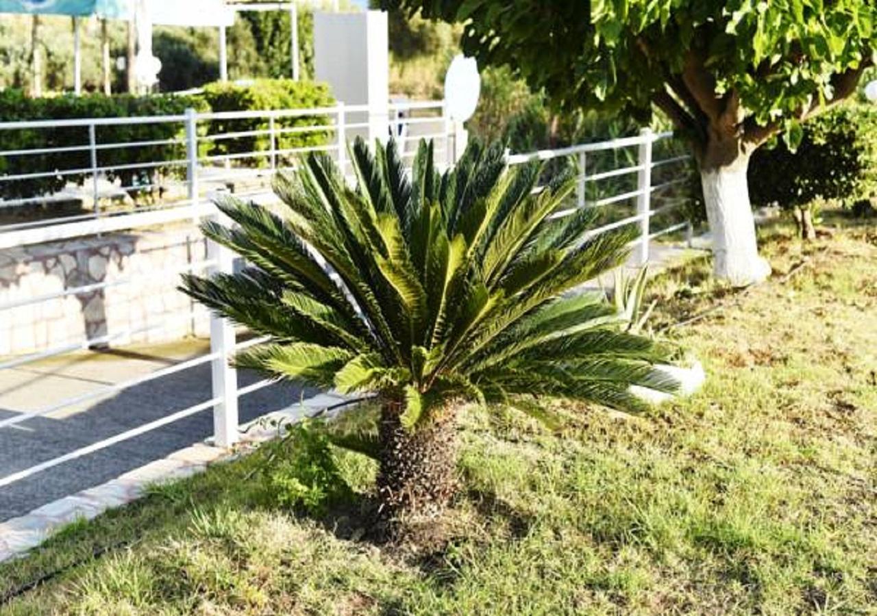 Andy'S Gardens Apartment Gerani  Bagian luar foto